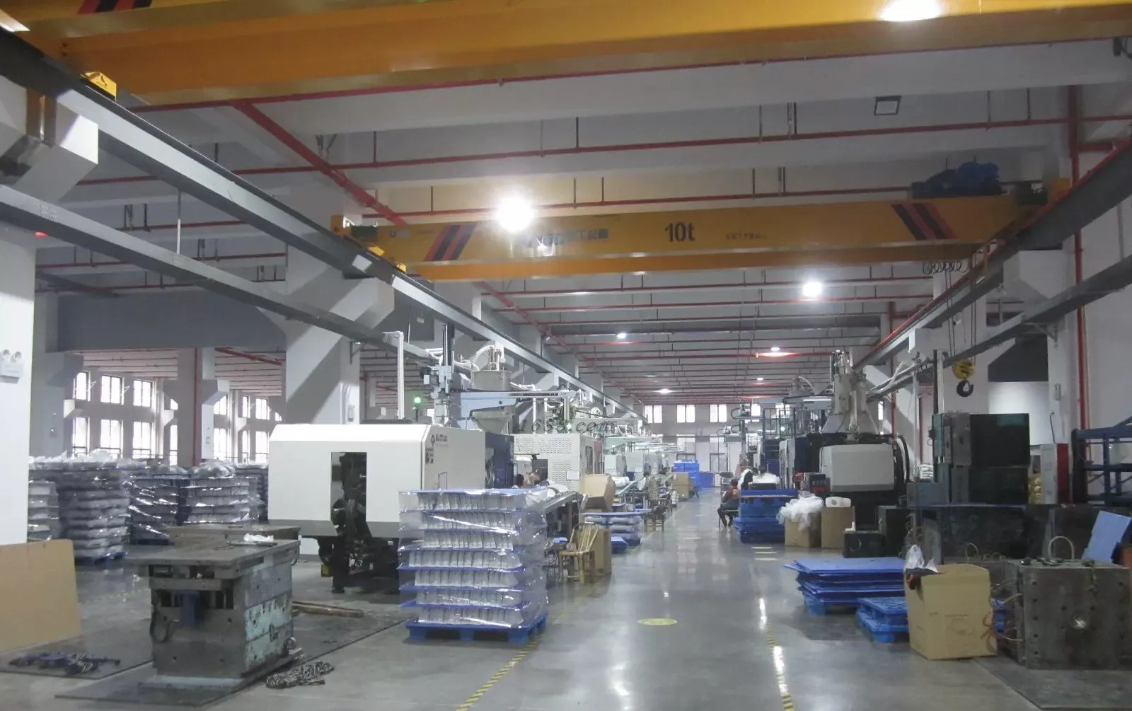 MetaPawtic Pet Product Manufacturer Factory — Ningbo, China